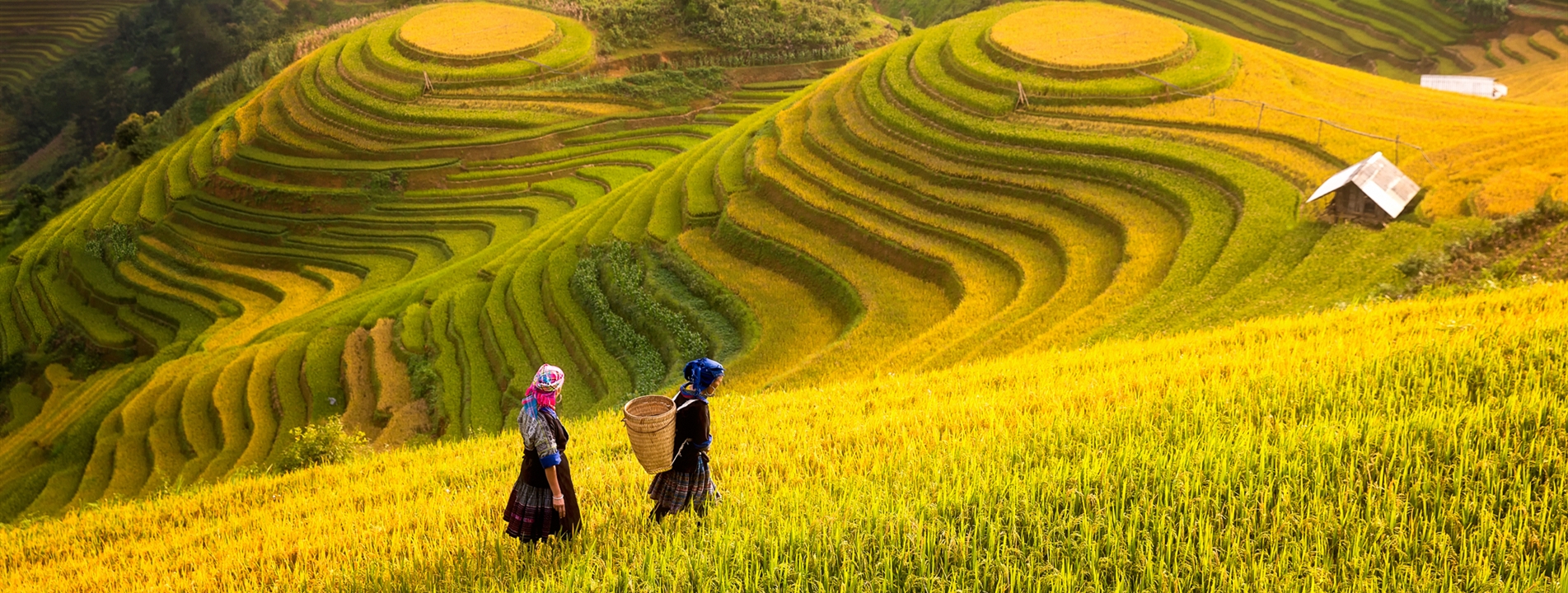 5-Day Northern Vietnam Exploration with Sapa 